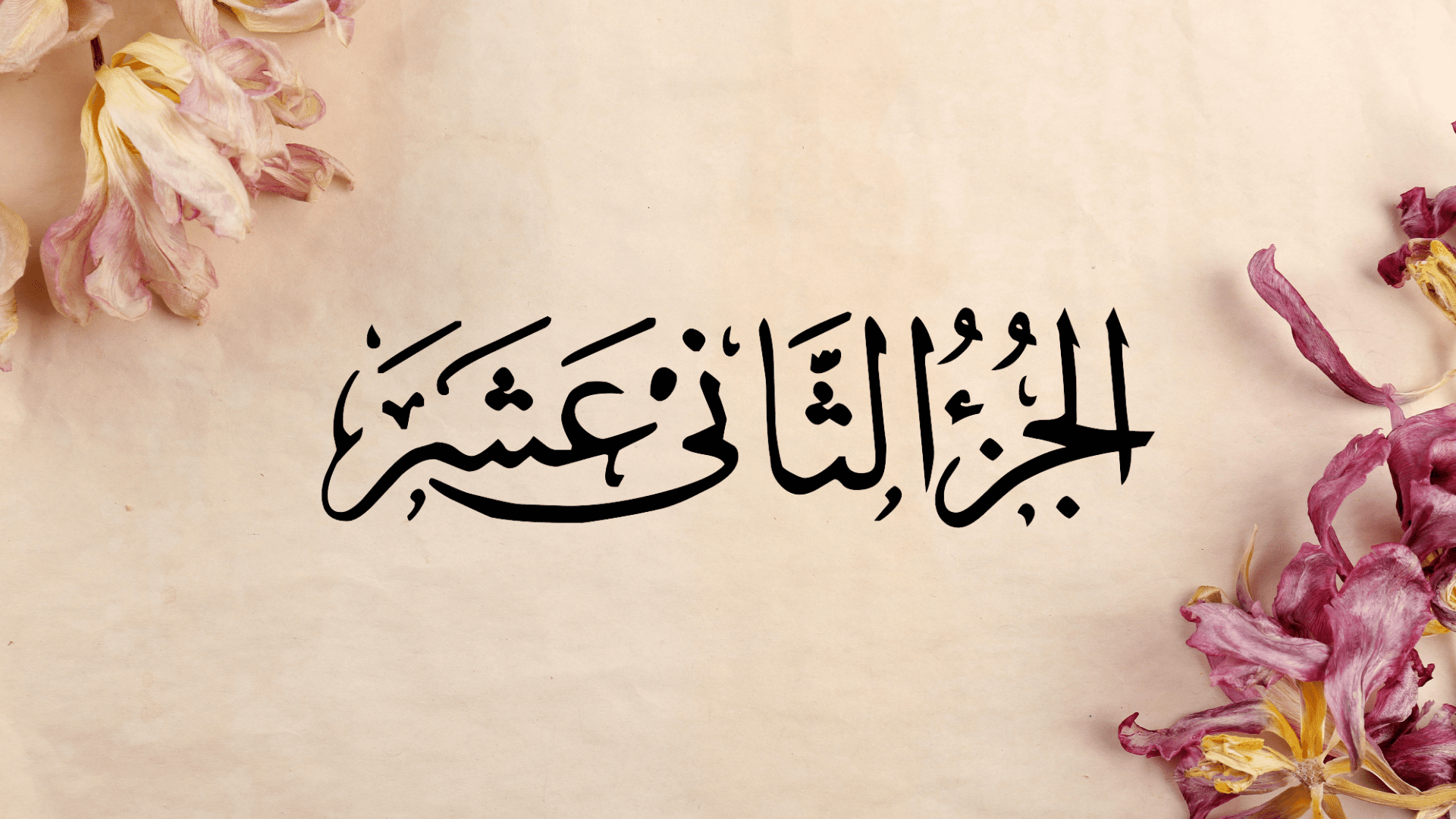 Ramazan-ul-Moazzam Quran Recitation Twelfth Sipara