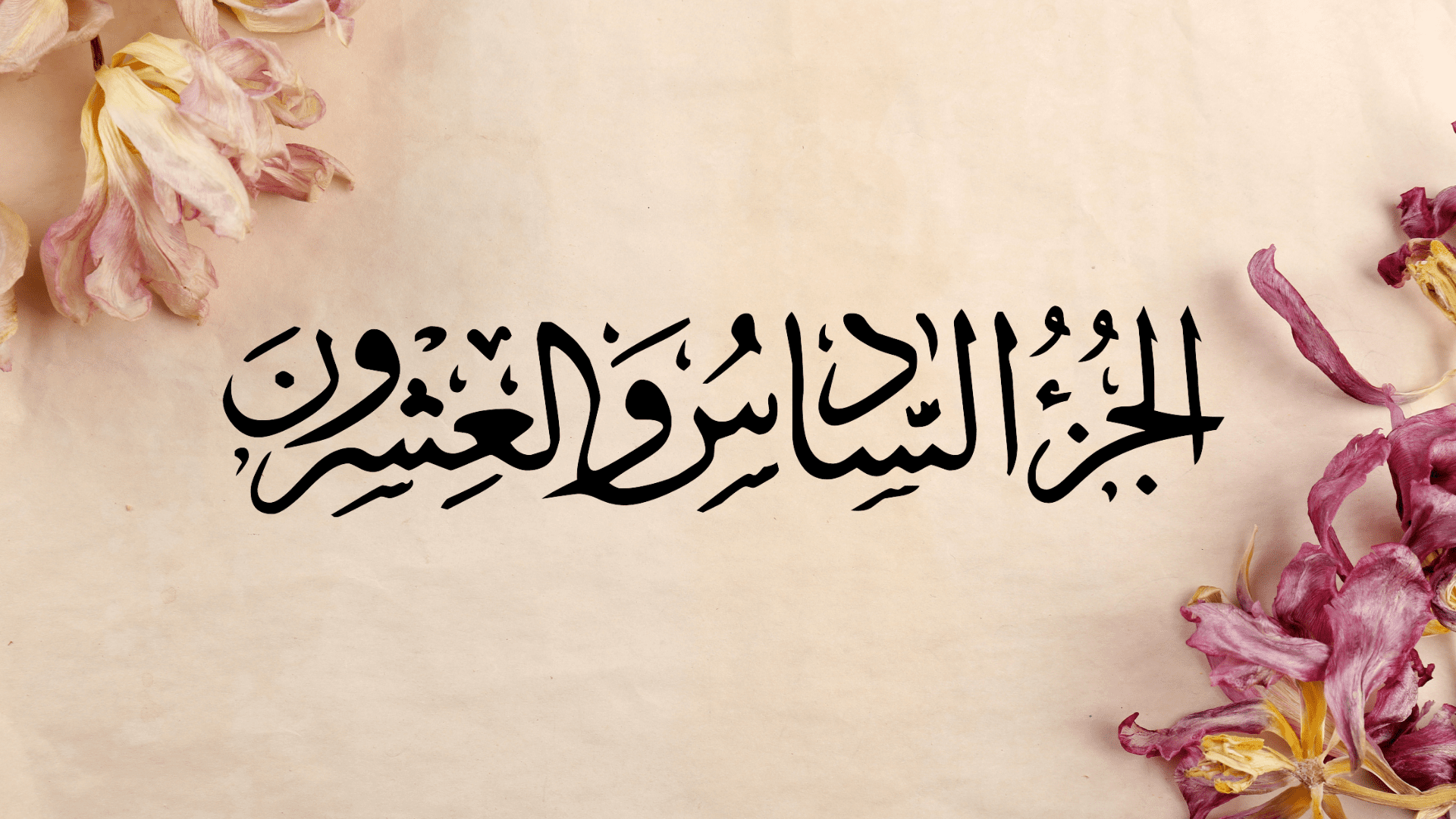 Ramazan ul Moazzam Quran Recitation Twenty Six Sipara